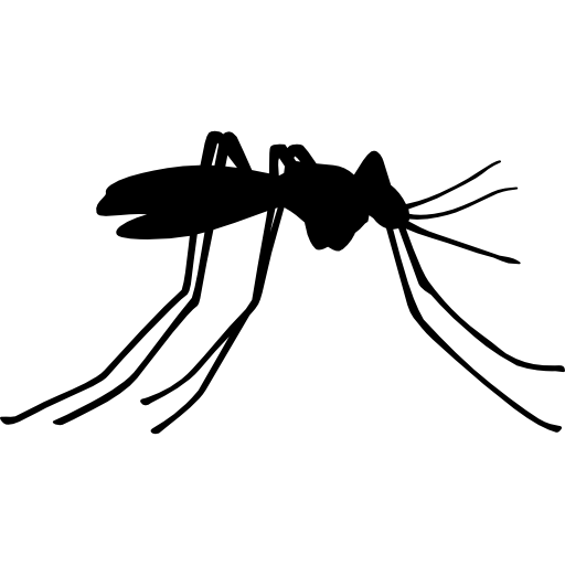 mosquito