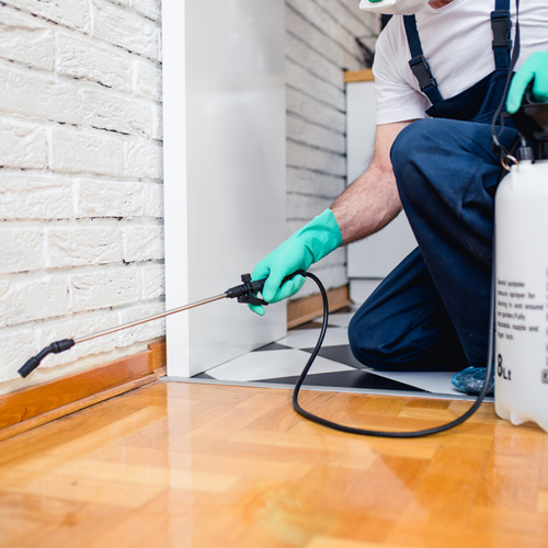 pest control